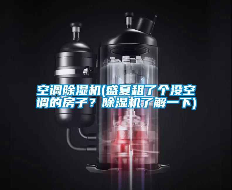 空調(diào)除濕機(jī)(盛夏租了個(gè)沒空調(diào)的房子?除濕機(jī)了解一下)