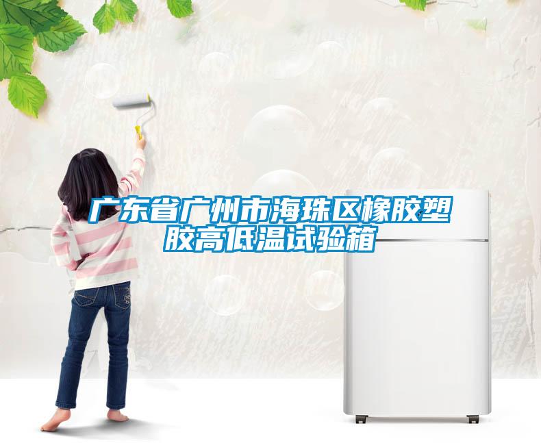 廣東省廣州市海珠區(qū)橡膠塑膠高低溫試驗箱