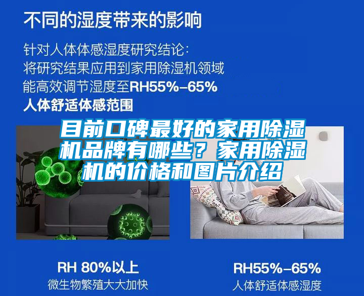 目前口碑最好的家用除濕機品牌有哪些？家用除濕機的價格和圖片介紹