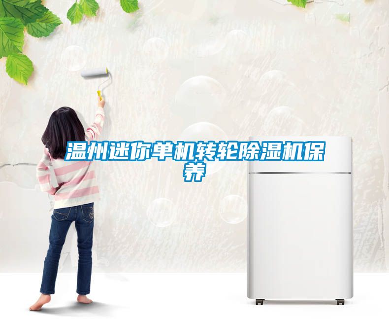 溫州迷你單機轉輪除濕機保養(yǎng)