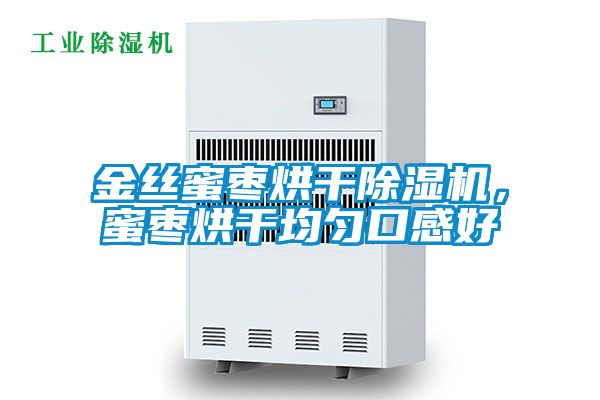 金絲蜜棗烘干除濕機，蜜棗烘干均勻口感好