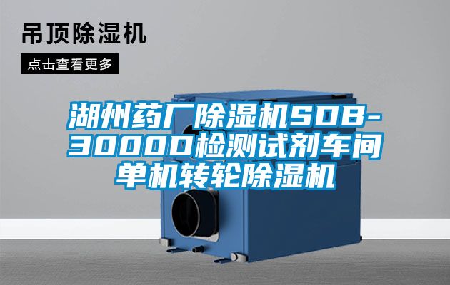 湖州藥廠除濕機(jī)SDB-3000D檢測試劑車間單機(jī)轉(zhuǎn)輪除濕機(jī)