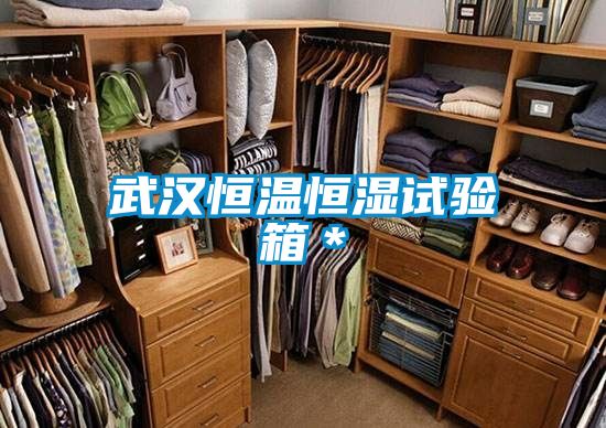 武漢恒溫恒濕試驗箱*