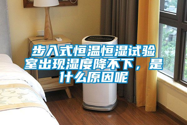 步入式恒溫恒濕試驗(yàn)室出現(xiàn)濕度降不下，是什么原因呢