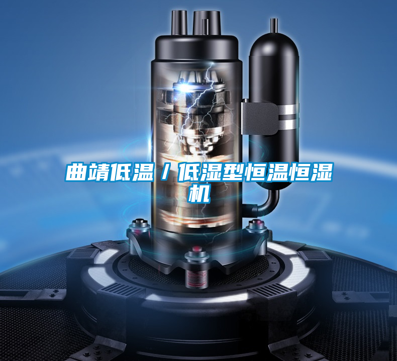 曲靖低溫/低濕型恒溫恒濕機