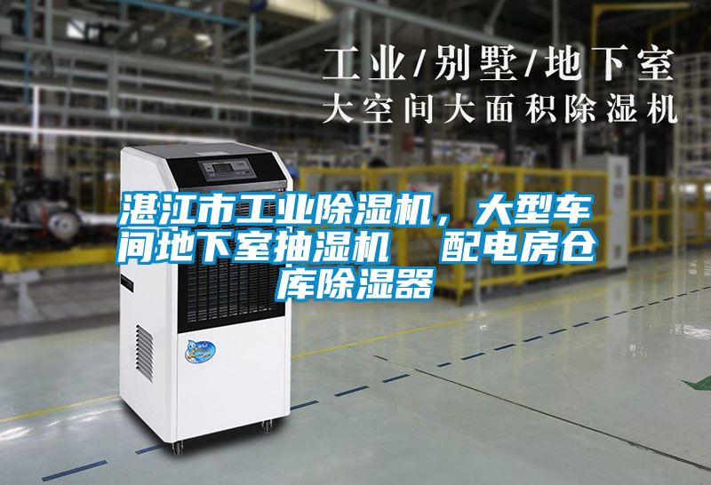 湛江市工業(yè)除濕機(jī)，大型車(chē)間地下室抽濕機(jī)  配電房倉(cāng)庫(kù)除濕器