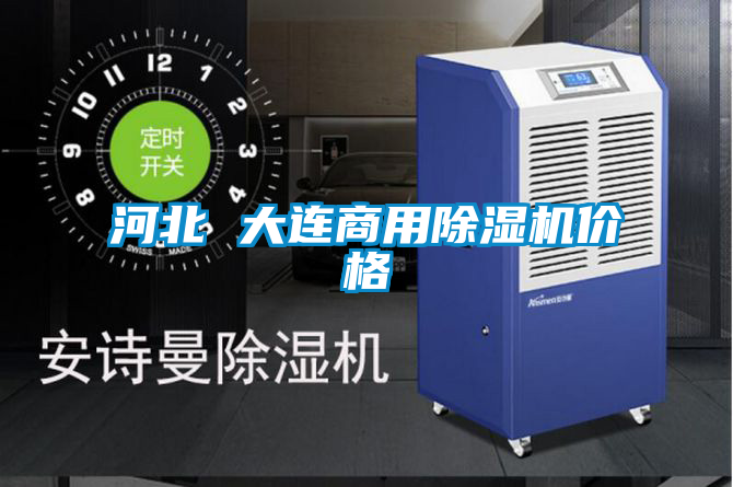 河北 大連商用除濕機價格