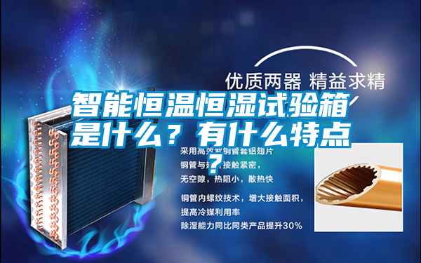 智能恒溫恒濕試驗箱是什么？有什么特點？