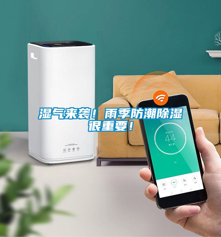 濕氣來襲!雨季防潮除濕很重要!