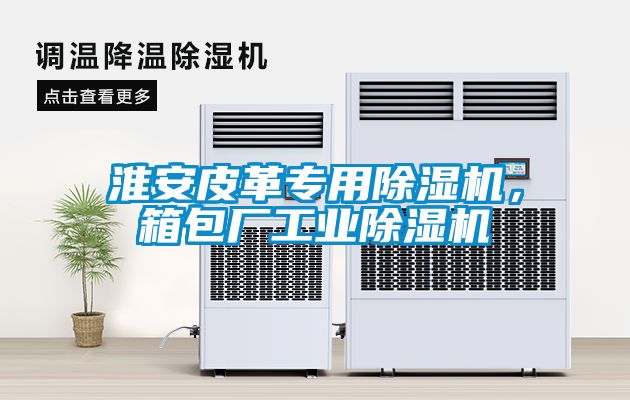 淮安皮革專用除濕機，箱包廠工業(yè)除濕機
