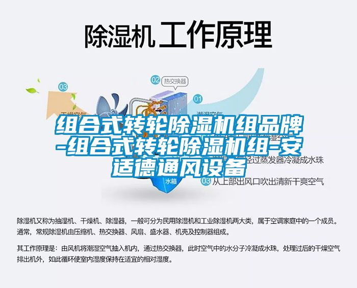 組合式轉(zhuǎn)輪除濕機組品牌-組合式轉(zhuǎn)輪除濕機組-安適德通風設(shè)備