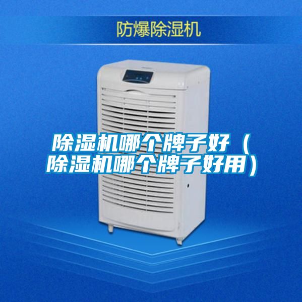 除濕機哪個牌子好(除濕機哪個牌子好用)