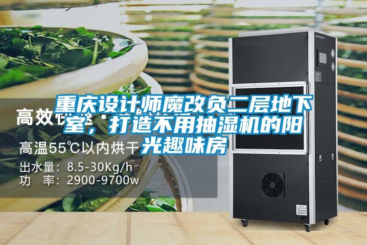 重慶設(shè)計師魔改負(fù)二層地下室，打造不用抽濕機(jī)的陽光趣味房