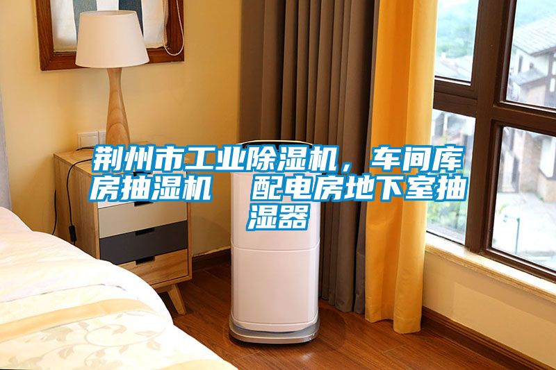 荊州市工業除濕機,車間庫房抽濕機 配電房地下室抽濕器