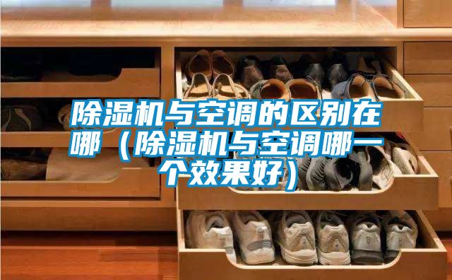 除濕機(jī)與空調(diào)的區(qū)別在哪(除濕機(jī)與空調(diào)哪一個效果好)