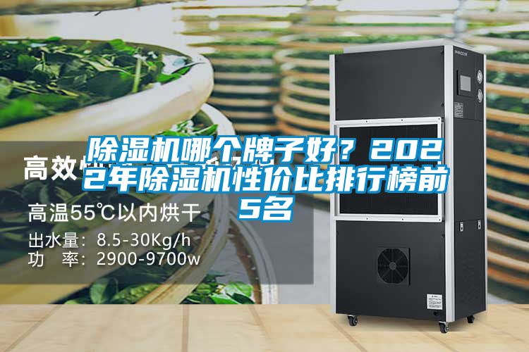 除濕機哪個牌子好？2022年除濕機性價比排行榜前5名