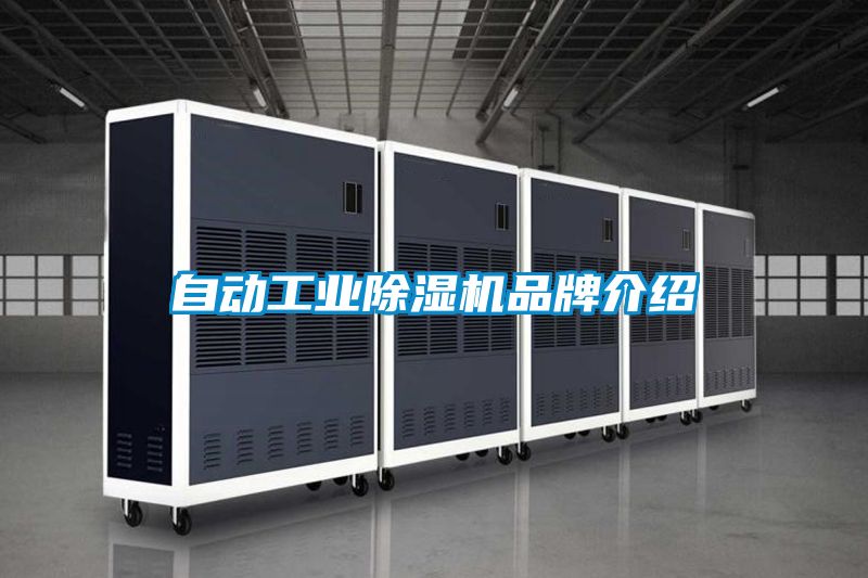 自動工業(yè)除濕機(jī)品牌介紹
