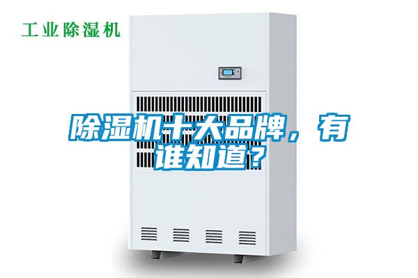 除濕機十大品牌，有誰知道？