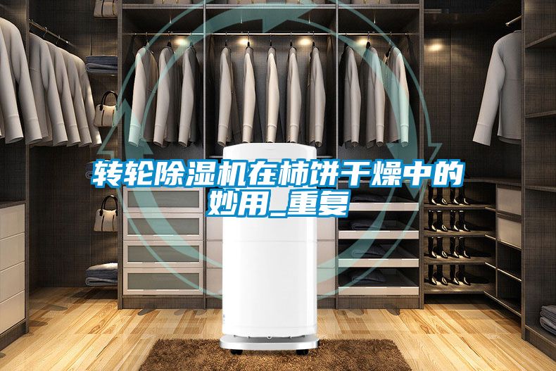 轉(zhuǎn)輪除濕機在柿餅干燥中的妙用_重復(fù)
