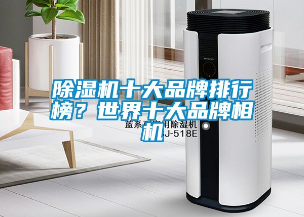 除濕機十大品牌排行榜？世界十大品牌相機