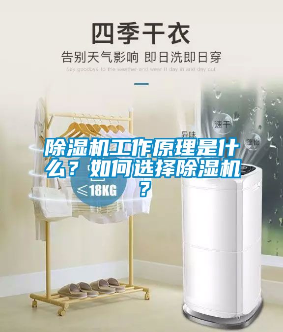 除濕機工作原理是什么？如何選擇除濕機？