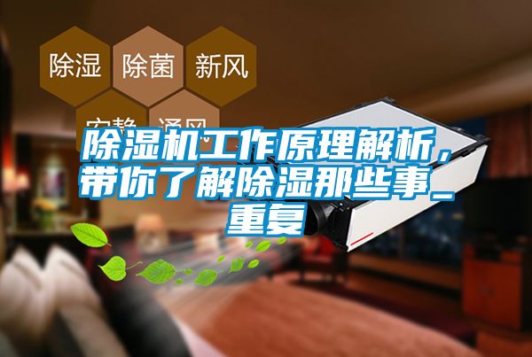 除濕機工作原理解析，帶你了解除濕那些事_重復