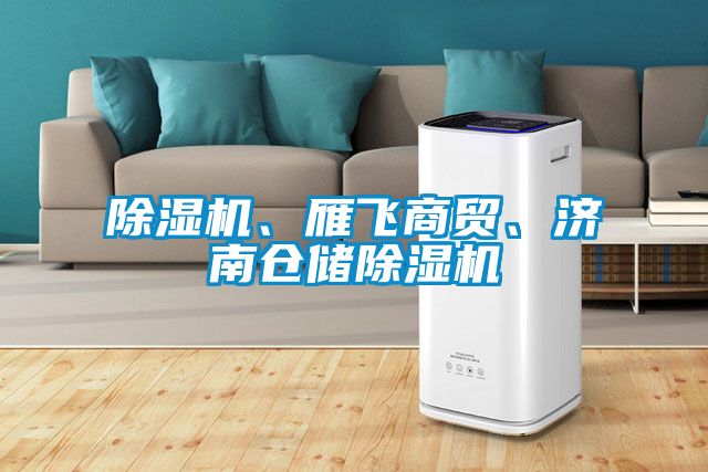除濕機(jī)、雁飛商貿(mào)、濟(jì)南倉儲(chǔ)除濕機(jī)