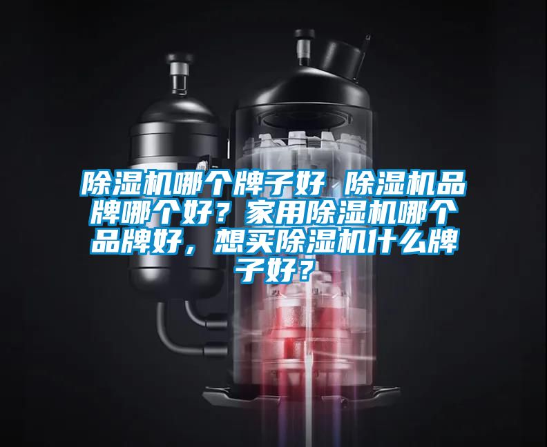 除濕機哪個牌子好 除濕機品牌哪個好？家用除濕機哪個品牌好，想買除濕機什么牌子好？