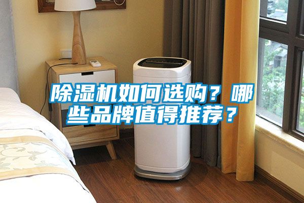 除濕機(jī)如何選購(gòu)？哪些品牌值得推薦？