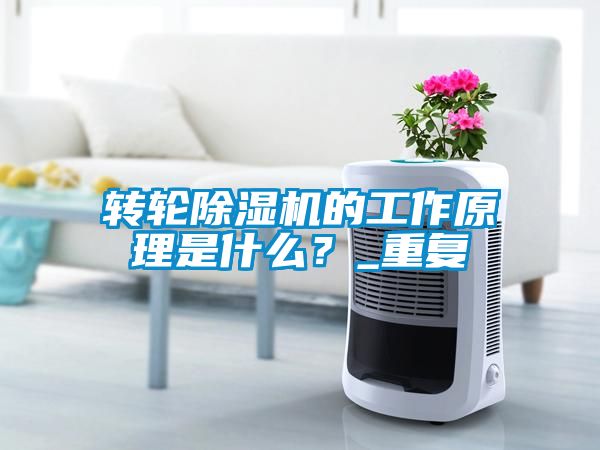 轉(zhuǎn)輪除濕機的工作原理是什么？_重復(fù)