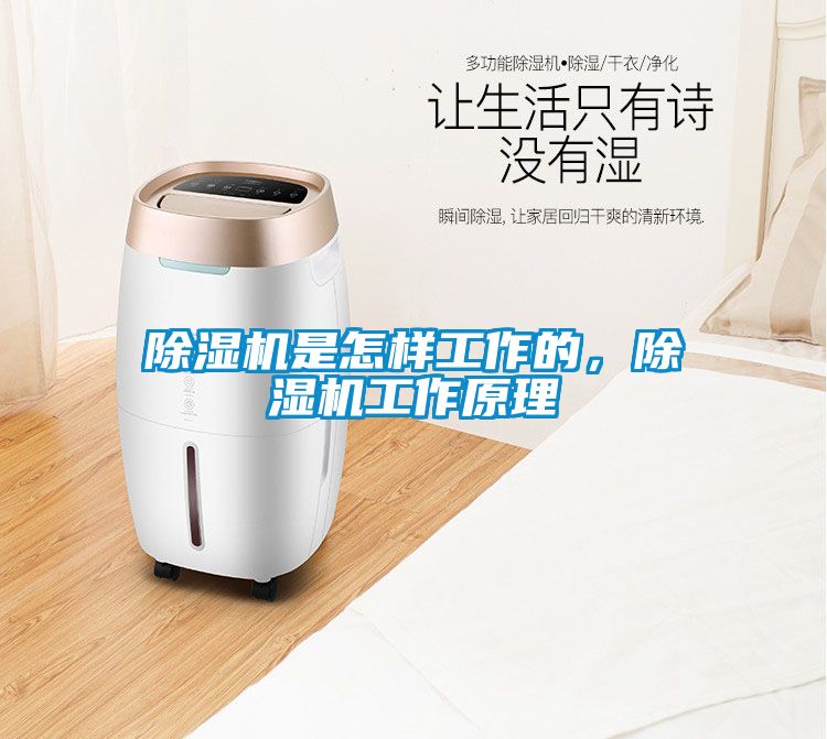 除濕機是怎樣工作的，除濕機工作原理