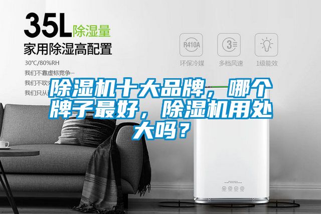 除濕機(jī)十大品牌，哪個(gè)牌子最好，除濕機(jī)用處大嗎？
