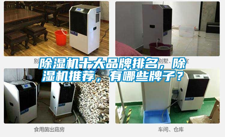 除濕機(jī)十大品牌排名,除濕機(jī)推薦,有哪些牌子?