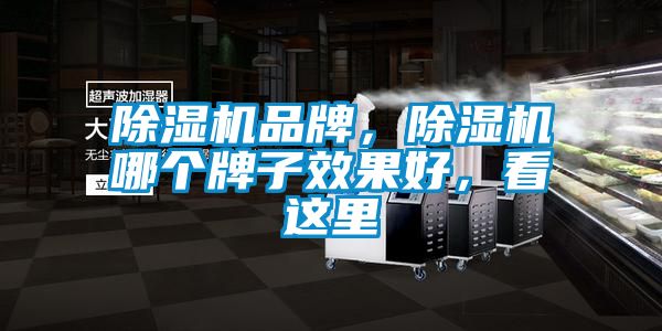 除濕機品牌，除濕機哪個牌子效果好，看這里