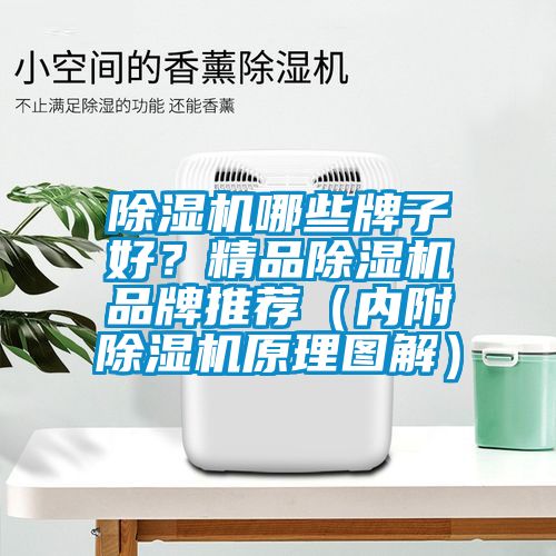 除濕機哪些牌子好？精品除濕機品牌推薦（內(nèi)附除濕機原理圖解）