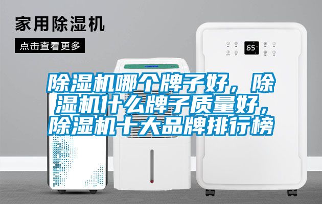 除濕機哪個牌子好，除濕機什么牌子質(zhì)量好，除濕機十大品牌排行榜