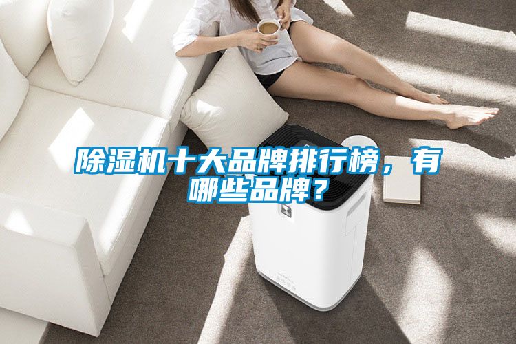 除濕機十大品牌排行榜，有哪些品牌？