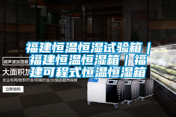 福建恒溫恒濕試驗(yàn)箱|福建恒溫恒濕箱|福建可程式恒溫恒濕箱