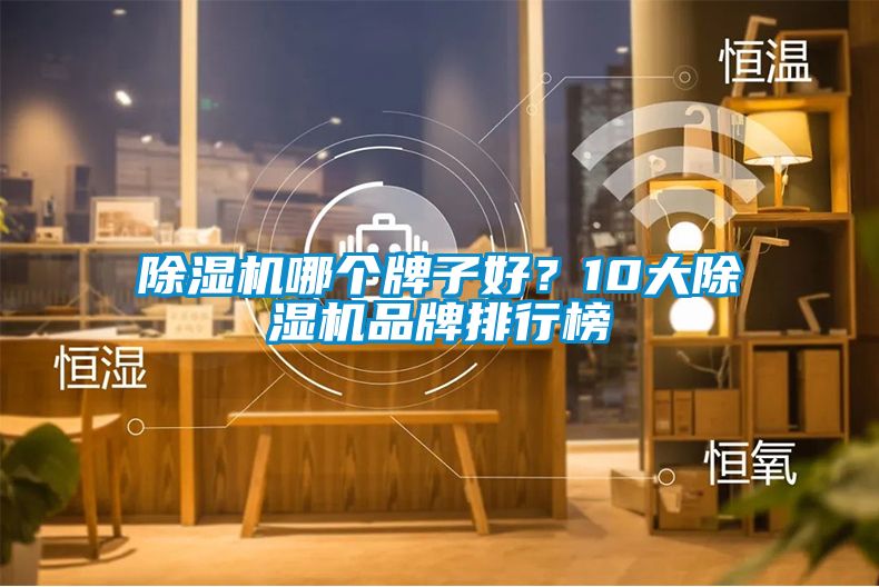 除濕機哪個牌子好？10大除濕機品牌排行榜