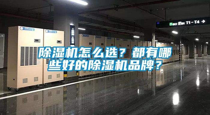 除濕機怎么選？都有哪些好的除濕機品牌？