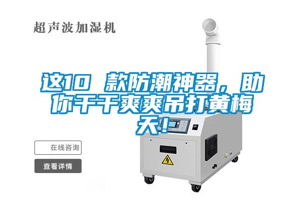 這10 款防潮神器,助你干干爽爽吊打黃梅天!