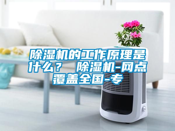 除濕機的工作原理是什么？ 除濕機-網點覆蓋全國-專