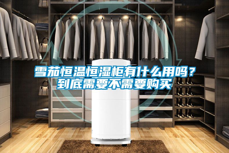雪茄恒溫恒濕柜有什么用嗎？到底需要不需要購買