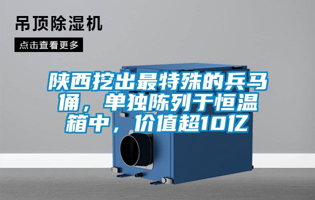 陜西挖出最特殊的兵馬俑，單獨陳列于恒溫箱中，價值超10億