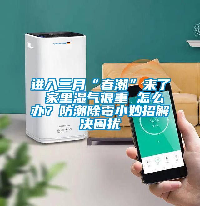 進(jìn)入三月“春潮”來了 家里濕氣很重 怎么辦?防潮除霉小妙招解決困擾