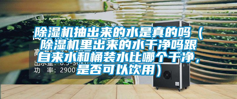 除濕機(jī)抽出來的水是真的嗎（除濕機(jī)里出來的水干凈嗎跟自來水和桶裝水比哪個(gè)干凈，是否可以飲用）