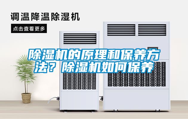 除濕機的原理和保養方法？除濕機如何保養