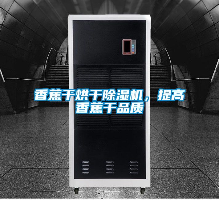 香蕉干烘干除濕機，提高香蕉干品質