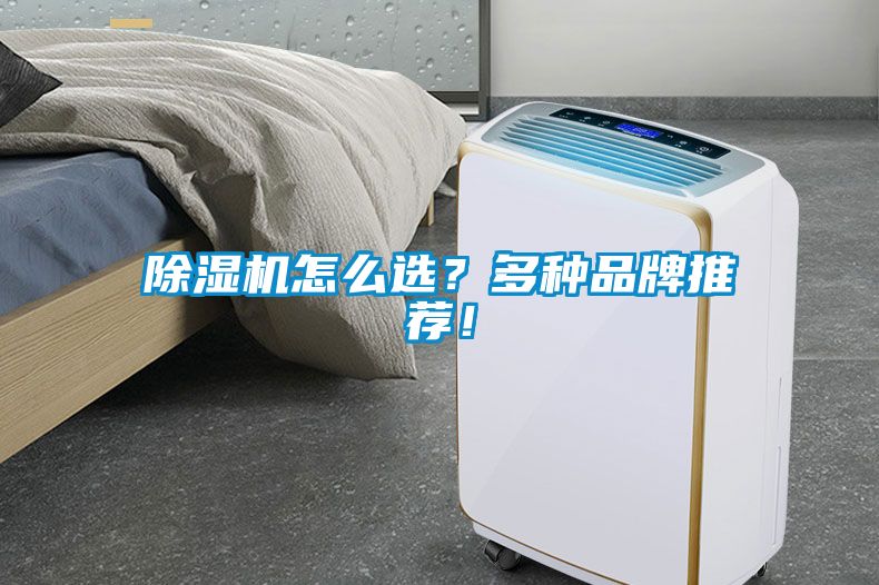 除濕機怎么選？多種品牌推薦！