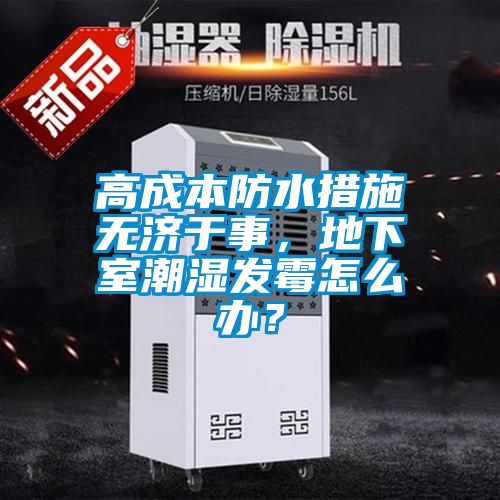高成本防水措施無濟于事，地下室潮濕發霉怎么辦？